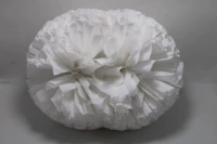 Обновить югуан 5 дюймов (югуангай)