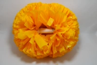 Обновить югуан 5 дюймов (Югуан Хуан)