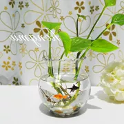 Bình thủy tinh vuông thủy canh hoa thủy tinh vuông bình thủy tinh bình thủy canh bình thủy canh - Vase / Bồn hoa & Kệ