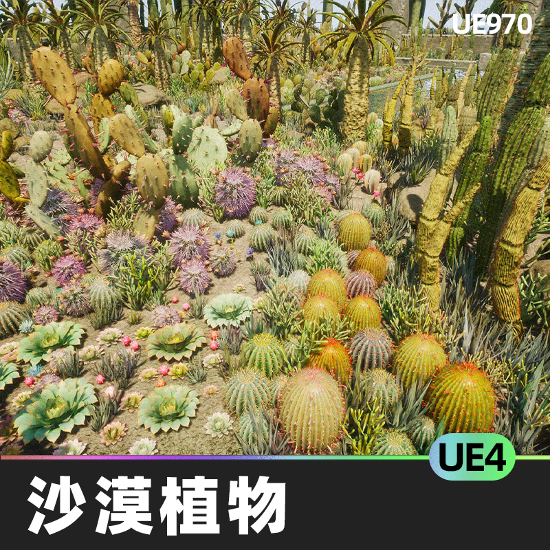 Cactus Plants: Desert Garden仙人掌植物沙漠花园岩石UE4.27建筑-cg男孩