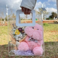 Кристаллическая сумка Hig Pink Pig Clougle