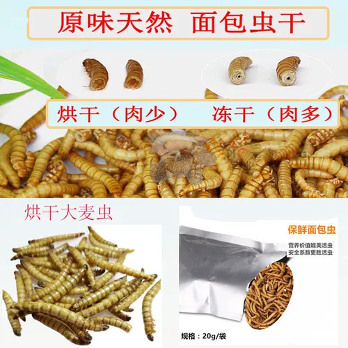 Мини -ежа лапша хлеб сухой закуски Drimpy Worm Hamster Feed Медовые мешки, спящий шелкочный медведь мыши с закусками основного зерна