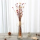 Hoa khô tự nhiên trang trí bó hoa nội thất nhà nhỏ tươi Bắc Âu bộ bông sen bình hoa trang trí phòng khách - Trang trí nội thất