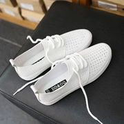 Giày thoáng khí mùa hè nhỏ màu trắng nữ 2019 hè mới hoang dã phiên bản Hàn Quốc của giày vải rỗng nữ giày trắng đế bằng - Plimsolls
