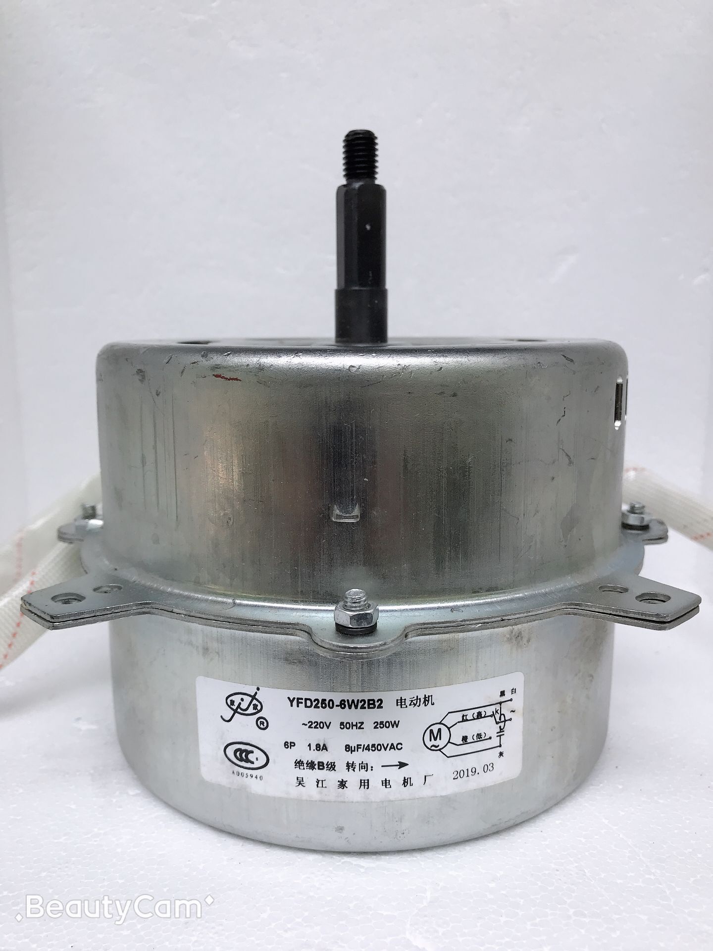 YFD250-6W2B2 motor