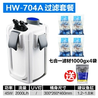 HW-704A+Фильтр 4 кг (соль)