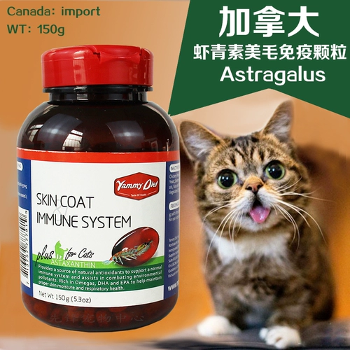 2 бутылки ацетовой кошки с креветками иммунных гранул 150 г кожи кожи лецитин