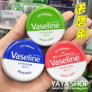 Nước hoa vaseline Vaseline dưỡng môi hoa hồng lô hội dưỡng ẩm dưỡng ẩm không màu dầu dưỡng môi chống nứt nẻ - Son môi