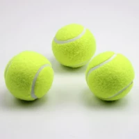 Phục vụ trò chơi cơ sở và trung cấp thú cưng đặc biệt đồ chơi cao hồi phục quần vợt đào tạo thiết bị bóng trẻ em 3 - Quần vợt wilson pro staff team 280g