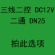 Флуоресцентный желтый два -контроль DC12V два -путь D25