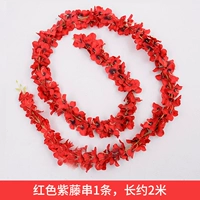 1 Red Wisteria String 1
