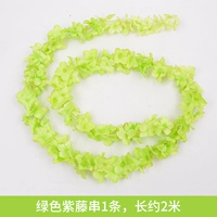 Зеленые струны глицинии 1