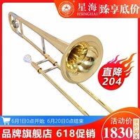 [Ограниченное время Special] Длинный музыкальный инструмент звезда Hyra Медная трубка BB Sound BB Professional XAT120/XT110