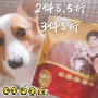 Mai Fudi Gà Vú Vịt 400 gam Teddy Vàng Tóc Dog Mài Gà Khô Pet Dog Đồ Ăn Nhẹ pate cho chó