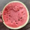 Товары от 红手指种业