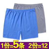 Đồ lót trung niên và trung niên, quần boxer, quần short nam cộng với size cotton, eo cao bằng cotton, đồ lót hình tam giác, bố đồ lót ibasic