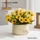 Жизненный керамический бонсай-цветок хризантема желтый цвет