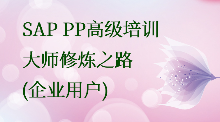 haima malala aotuo towin fuer aoer SAP MM企业用户视频课程