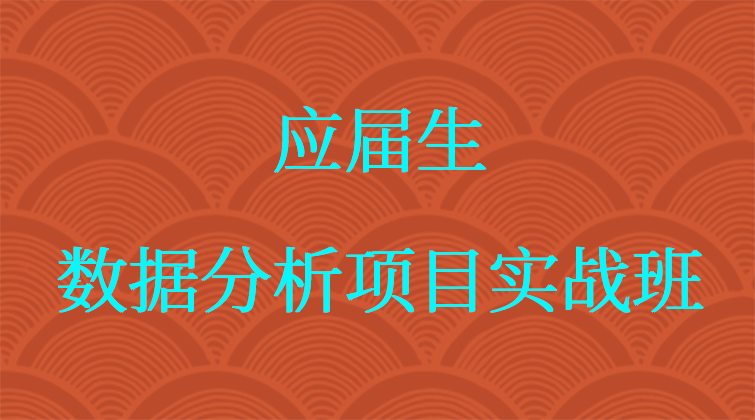 应届生·数据分析项目实战班