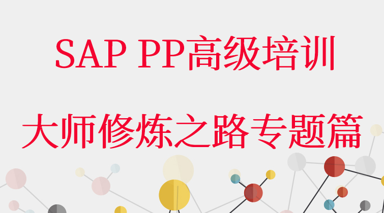 haima malala aotuo towin aoer SAP PP MPS Quota ATP SOP MRP 项目视频课程
