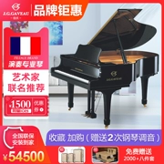 Pháp Jiawo grand piano G186 dành cho người lớn trẻ em thương hiệu chuyên nghiệp chơi đàn piano mới 88 phím gỗ nguyên khối - dương cầm