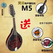 Guitar điện Mandolin nhạc cụ hộp điện mandolin lute piano tây nhạc cụ âm thanh điện mandolin guitar