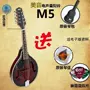 Guitar điện Mandolin nhạc cụ hộp điện mandolin lute piano tây nhạc cụ âm thanh điện mandolin guitar đàn guitar fender