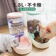 Pet mèo tự động trung chuyển mèo thức ăn cho chó bát nước uống nước mèo mèo cung cấp thức ăn cho chó thức ăn cho mèo