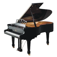 Helen piano gỗ rắn grand piano Pedrofu Roser RG200 biểu diễn chuyên nghiệp chấm điểm thực hành piano - dương cầm đàn piano mini