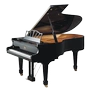 Helen piano gỗ rắn grand piano Pedrofu Roser RG200 biểu diễn chuyên nghiệp chấm điểm thực hành piano - dương cầm đàn piano mini