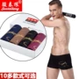 4 hộp quà tặng phiên bản Hàn Quốc của quần boxer nam cotton 100% cotton 4 góc thoáng khí đồ lót giữa eo thanh niên thể thao quần sịp lưới