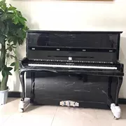 Robin mới liên doanh piano gỗ gụ khoai môn - dương cầm