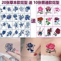 20 трав цветов-спреда 10 цветов путунга