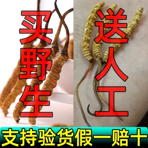 [Скидка 10% на каждую подделку] Официальный флагманский магазин Wild Cordyceps sinensis в Нагку, Тибет Подарочная коробка Wild Cordyceps 50 г