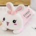 Gối thỏ ngủ dễ thương siêu mềm màu hồng bé gái đồ chơi sang trọng búp bê thỏ siêu dễ thương Linh vật năm mới 