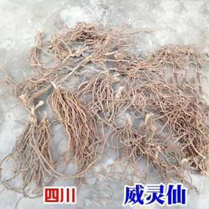 Wei Lingxian Wei Ling Fairy Rone Ironfoot Tie Lotus Bienitus no Sulfur Federation 100G