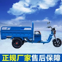 Xe điện ba bánh chở hàng nặng vua tốc hành xe nước pin nông nghiệp vận chuyển hàng hóa kéo xe ba bánh điện - Xe đạp điện xe đạp điện giá rẻ