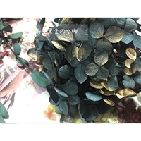 Материал рождественской земли черный Ким Анна Градиент Цвет Хурексации вечная жизнь цветок