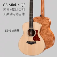 GS Mini-e QS Floccullent Shabeli Electric Box