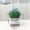 Mô phỏng Bắc Âu giả xanh cây xanh trang trí cây nhân tạo hoa nhỏ trong chậu trang trí nhà phòng khách trang trí hoa - Trang trí nội thất phụ kiện trang trí nhà đẹp