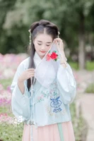 [Ziye ge] третий из оригинального дизайна дизайна вышитых юбок Ханфу (живопись любви)