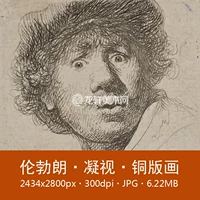 Рембрандт смотрит на 24 -летнюю портретную бронзовую версию Рембрандта Рембрандта.