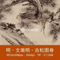 Wen Zhengming Ming Guusong Картинка Кордон Рисование Кордон Рисование чернила окрашенные