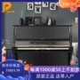 Nhật Bản nguyên bản Yamaha sử dụng đàn piano YAMAHA U3H dành cho người lớn dành cho người lớn bằng gỗ - dương cầm yamaha ydp 144