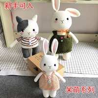 Cemi Concept Concept ручной работы на крючке шерстяной кукл кукла Dull Series Series Rabbit и Cat Material Bag, чтобы отправить новое руководство для рук