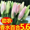 Товары от 小丸子413