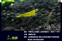 2-2,5 см (Обслуживание клиентов по количеству)