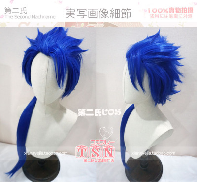 taobao agent 第二氏 Fate Grand Order Old Gun Yingling Blue COS Wig 423
