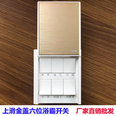 Блок выключателей 浴霸开关6开 浴霸专用开关六开上滑六档 弹簧式上滑防水盖16a金盖