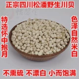 Yixintang Sichuan Wild Sichuan Beisongba Pearl Pearl Pekawa Fritillaria 50G Продвижение бесплатной доставки